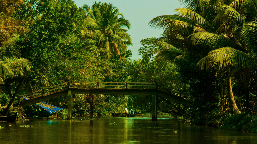 Kerala Backwaters 

image credit: canva